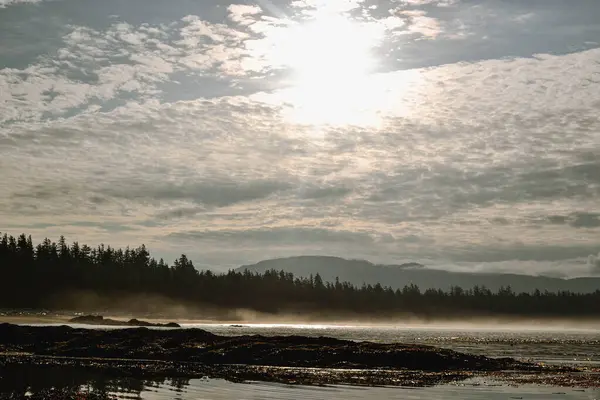 Sisli bir kıyı şeridi, sık yeşil bir orman ve parıldayan bir sabah gökyüzünün olduğu nefes kesici bir kıyı manzarası. Güneş ışığı dağınık bulutların arasından süzülerek barışçıl bir atmosfer yaratır..