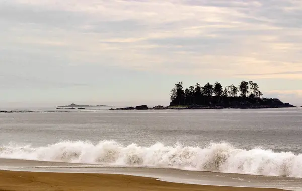 Vancouver Adaları 'nın batı kıyısında sakin bir manzara, yumuşak, bulutlu bir gökyüzüne karşı ağaçla kaplı bir adanın silüetiyle kumlu bir sahile vuran yumuşak dalgaların görüntüsü..
