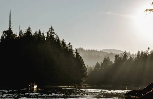 Kanadanın Vancouver Adası 'nda sisli ormanlar ve sakin sularla dolu sakin bir okyanus geçidini aydınlatan altın bir gündoğumu. Güneş ışınları, küçük bir teknenin huzur içinde sürüklenmesiyle büyülü bir parıltı yaratır..