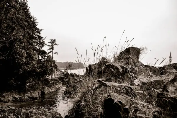 Sakin bir körfez ve sık yeşil ağaçlara karşı bir yakalama. Siyah-beyaz tonlar, bu yabani kıyı şeridinin ham ve dramatik güzelliğini artırıyor. Kıyı çöllerinin özünü gözler önüne seriyor..