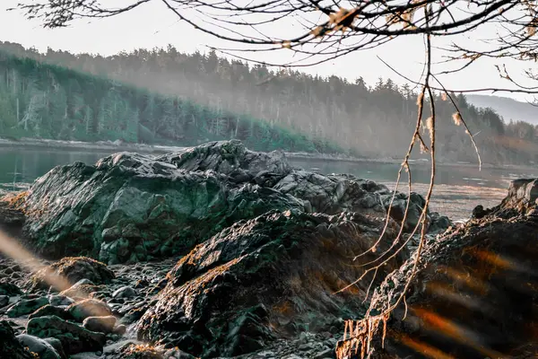 Sabah güneşi engebeli kayalık bir kıyı şeridini geçerek yosunlu taşların ve sakin suların üzerine altın ışınlar saçar. Sisli orman arkaplanı huzurlu kıyı manzarasını güçlendirir..