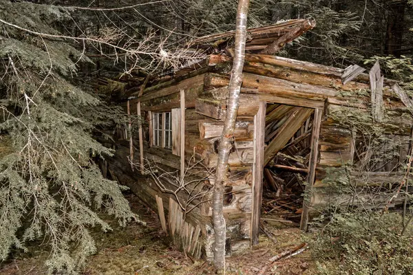 Unutulmuş bir ahşap kulübe yavaş yavaş doğaya yenik düşer. Gölgeli bir ormanın derinliklerine yerleşir. Yıpranmış odunlar, çökmüş çatı kirişleri..