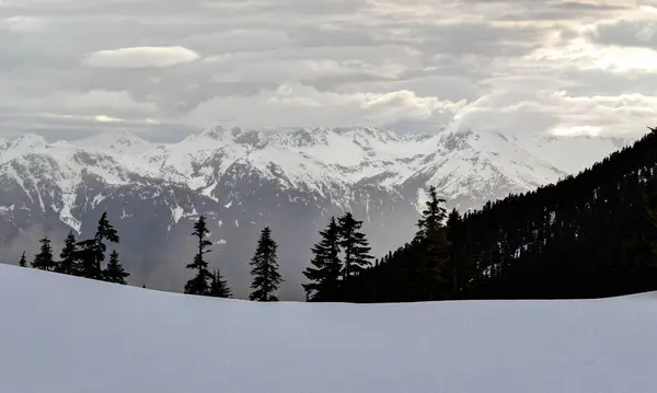 Saf, karlı yamaçların ve yüksek dağ zirvelerinin olduğu sakin bir kış manzarası. Dramatik bulutlarla dolu gökyüzü, koyu yeşil ormanlarla karla kaplı zirveler arasındaki zıtlığı arttırır..