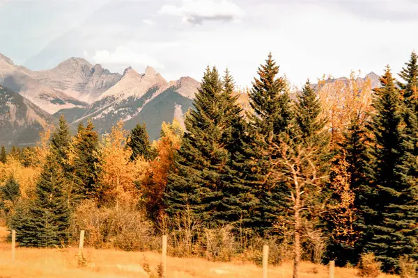 Bu Kanada 'nın engebeli dağ zirvelerine karşı altın sonbahar yeşillikleri yükseliyor. Sonbaharın ılık renkleri, uzak kayaların serin tonlarıyla güzel bir tezat oluşturuyor. Değişen mevsimlerin dingin güzelliklerini yakalıyor..