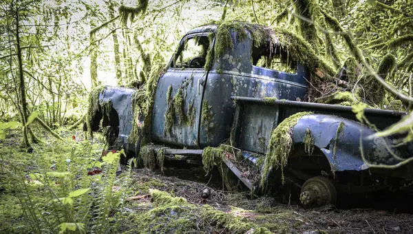 Terk edilmiş eski bir kamyon, gür bir ormanın kalbinde sessizce durur. Paslı iskeleti ve soyulmuş boyası kalın yosun ve sarmaşıklar tarafından sollanır. Güneş ışığı yoğun gölgelikten süzülür, unutulmuş aracın üzerinde huzur dolu bir parıltı bırakır..