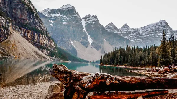 Karla kaplı zirveler, engebeli uçurumları ve sık yeşil ormanları yansıtan, kristal berraklığında bir alp gölü üzerinde yükselir. Kayalık kıyı boyunca sürüklenen bu sakin vahşi doğa sahnesine kırsal bir dokunuş ekleyerek Banff Ulusal Parkı 'nın saf güzelliğini yakalıyor..