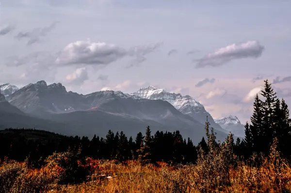 Rocky Dağları 'nın karla kaplı zirveleri, altın otlar ve dramatik gökyüzü tarafından çerçevelenmiş ormanlık vadilerin üzerinde yükselir. Bu sakin manzara Kanada 'nın engebeli vahşi doğasını, gösterişli alp majestelerini, zengin yaprakları ve geniş manzaraları yakalar..