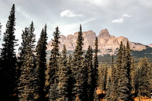 Banff Ulusal Parkı 'ndaki ufuk çizgisine Castle Dağı hükmediyor. Kayalık ön cephesinin altın rengi, aşağıdaki yeşillikle çok güzel bir tezat oluşturuyor. Kanada dağlarının en ikonik zirvelerinden birinin çarpıcı bir görüntüsünü sunuyor..