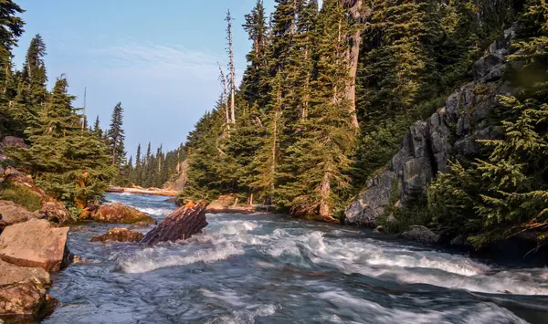Bakir bir nehir, engebeli kayalar ve yüksek ağaçlarla çevrili sık ve yemyeşil bir ormanın içinden akıyor. Gün batımının ılık renkleri, sakin vahşi doğanın üzerine altın bir parıltı saçar..