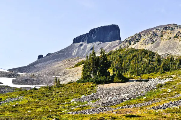 Black Tusk, Britanya Kolumbiyası 'nın engebeli arazisi ve çarpan siyah kayalarıyla karakterize edilen önemli bir volkanik tepe noktasıdır. Alp çayırları ve Evergreen 'lerle çevrili bu eşsiz jeolojik oluşum el değmemiş vahşi doğaya karşı ayakta duruyor..