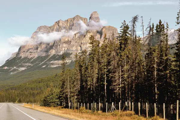 Kanada 'nın Alberta kentindeki Castle Dağı sık ve yeşil ormanların üzerinde yükselir ve engebeli uçurumlar kısmen alçak bulutlarla örtülüdür. Kanada dağlarındaki bu ikonik zirve kaya oluşumlarını ve nefes kesici manzaraları sergiliyor..