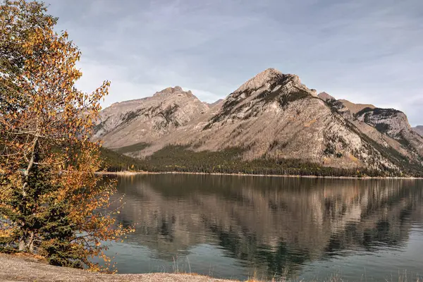 Sakin bir göl Kanada 'nın Alberta kentindeki engebeli dağ zirvelerini ve sonbahar yapraklarını yansıtır. Altın yapraklar sakin suları çerçevelerken, yüksek yamaçlar ve yemyeşil ormanlar çarpıcı bir zemin oluşturur..