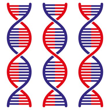 DNA sarmal iplikleri. Kırmızı mavi genetik yapı. Moleküler vektör kavramı. Bilim biyolojisi sembolü. EPS 10.