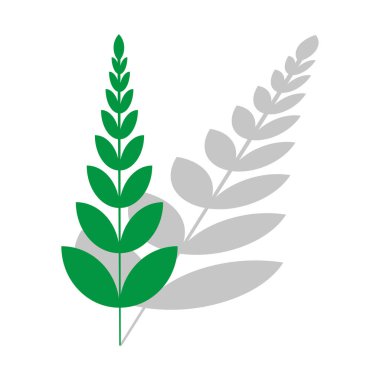 Yeşil bitki tasarımı. Botanik vektör sanatı. Organik doğa sembolü. Yapraklı dal çizimi. EPS 10.