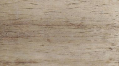 Vücudunda siyah çizgileri olan gümüş bir kertenkele. Kertenkele mavi bir konteynırda.