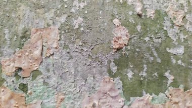 Pembe boyanın soyulması ya da hasarlı dokusu, banyo duvarının arka planı. Yakın plan..