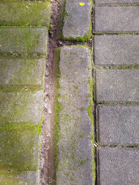 Yarı yosunlu yoldaki istifleme taşlarının dokusu. Yakın plan..