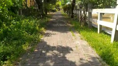 Ağaçlar ve taş çitlerle çevrili patikaların manzarası. Yeşilliğin arka planı.