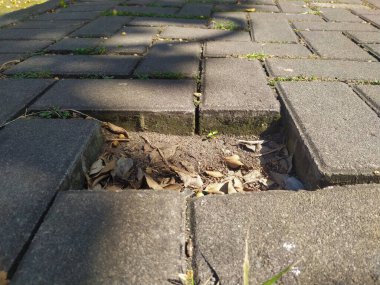 The paving stone blocks that make up the path, where one stone is missing, leave a gap.