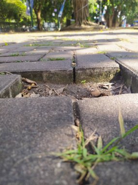 The paving stone blocks that make up the path, where one stone is missing, leave a gap.