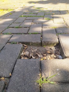 The paving stone blocks that make up the path, where one stone is missing, leave a gap.