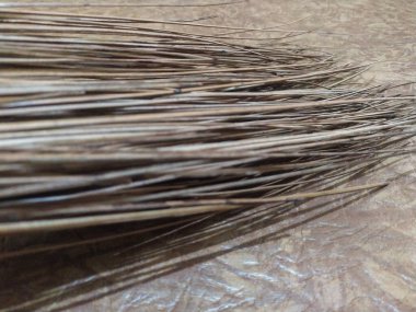 Yerde bir süpürge sapı görülüyor. Süpürge sapı hindistan cevizi yapraklarının kemiklerinden yapılır. Yakın plan..