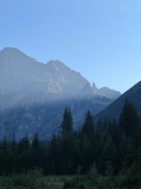 Sabah sisinin ve çam siluetinin arkasındaki uzak tepeler şafak vakti sakin bir ormanın açıklığında yükselir. Yüksek kalite fotoğraf. Seyahat fotoğrafı..