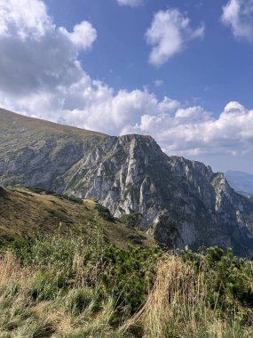 Golden Grass ve Sunny Ridge 'de Uzak Dağ Manzaralı Çalılar. Yüksek kalite fotoğraf. Seyahat fotoğrafı..