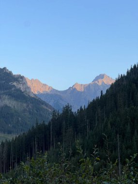 Orman Vadisi 'nin yukarısındaki Uzak Dağ Sırtı' nı aydınlatan Altın Gün Işığı. Yüksek kalite fotoğraf