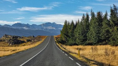 İzlanda 'da sakin kırsal kesimlerde dolambaçlı bir yol, bereketli çam ağaçları ve uzak dağlarla çevrili, parlak mavi bir gökyüzünün altında, seyahat, keşif ve doğal güzelliği çağrıştırıyor.
