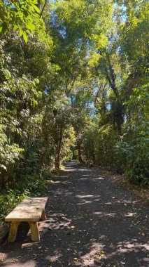 Bereketli ağaçlar ve mavi gökyüzüyle çevrili sakin yeşil bir patika. Kırsal bir ahşap bank, ziyaretçileri rahatlatıcı ve huzurlu doğanın tadını çıkarmaya çağıran bir dinlenme yeri sağlar..