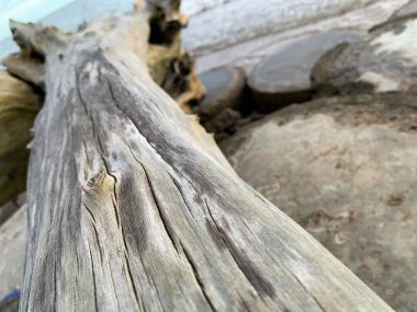 eski ahşap duvar arkaplanı