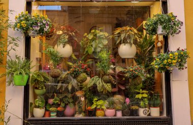 İtalya 'nın sonsuz Roma şehrindeki görkemli sokak bitkisi dükkanının manzarası. Fotoğraf 29 Aralık 2024 'te Roma' da çekildi.