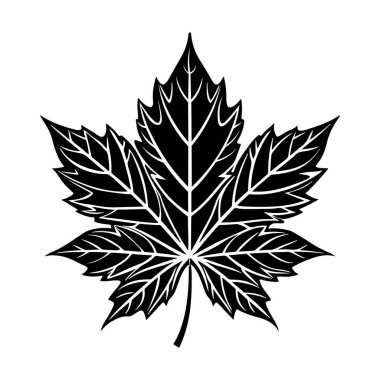 Güz yaprağı vektör sanatının silueti beyaz arkaplanda izole edilmiş. Akçaağaç silueti vektör çizimi. Beyaz arka planda akçaağaç yaprağı silueti vektör sanat çizimi. Japon Akçaağaç Yaprağı Siluet vektör çizimi.