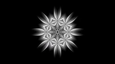 Siyah ve beyaz karmaşık mandala, detaylı kutsal simetri, geometrik çiçekli füzyon, süslemeli el yapımı sanat eseri, büyüleyici geleneksel tasarım