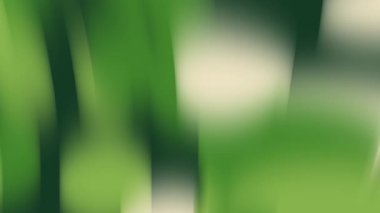 Canlı soyut yeşil arkaplan hareketi, dinamik sıvı dokular, çevre dostu markalaşma, animasyonlar ve yaratıcı projeler için mükemmel.