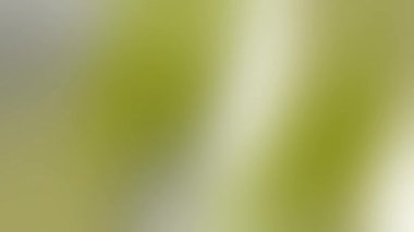 Teknoloji Ürünleri, Web Tasarımı ve Modern Mobil Uygulamalar için Dill Green UI Animasyon Döngüsü