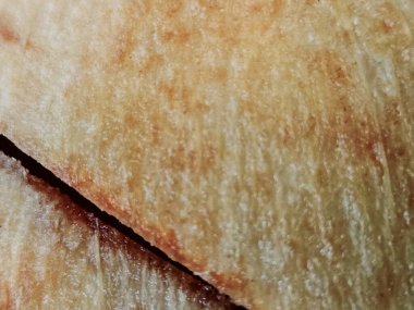 Çekici renklerle hindistan cevizi kabuğu deseni arka planı