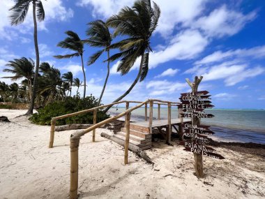 Palmiye ağaçlı plaj ve Dominik Cumhuriyeti Punta Cana tabelası. 