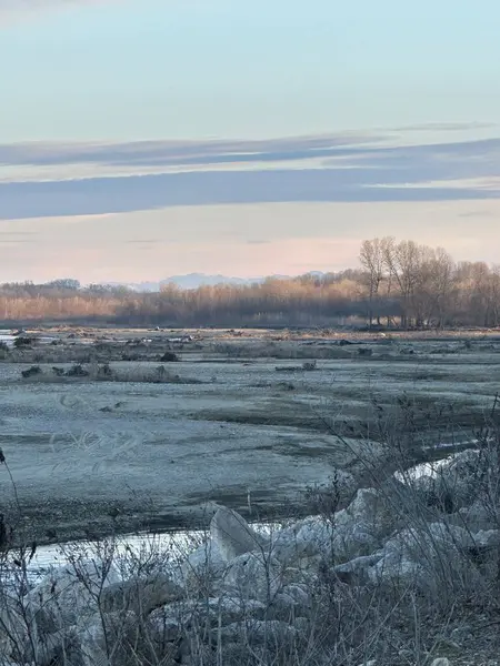 Geniş, donmuş bir nehir yatağı çıplak ağaçlar ve uzak dağlara doğru uzanır. Soğuk, sessiz tonlar ve çorak bitki örtüsü sert ve sessiz bir kış sahnesini çağrıştırıyor.
