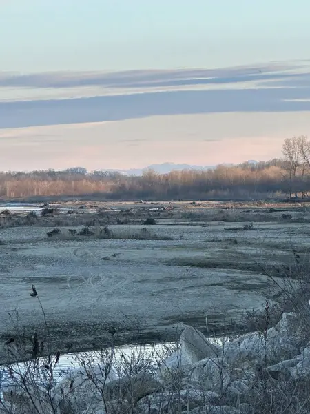 Issız bir kış nehri, yapraksız ağaçlara doğru uzanır ve soğuk, pastel bir gökyüzünün altında soluk dağ sırtlarına. Ön planda, durgunluk ve yalnızlığı çağrıştıran buzlu kayalar ve kuru bitki örtüsü yer alıyor.