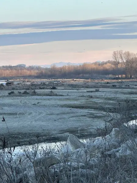 Kurumuş bitki örtüsü ve açıkta kalmış taşlarla soğuk bir kış nehri. Çıplak ağaçlar ufuk çizgisinde, uzak dağ siluetleri yumuşak bir pastel gökyüzünün altında şafak veya alacakaranlıkta.