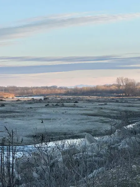 Yapraksız bitki örtüsü ve kayalık kenarlarla çerçevelenmiş kuru, geniş bir nehir yatağı. Uzak ağaçlar, yumuşak kış ışığında parıldıyor. Pastel bulutların altında puslu dağ siluetleri var.