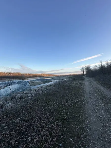 Engebeli bir toprak yol, akan bir kış nehrinin kıyısındaki kayalık bir nehir kıyısını takip ediyor. Etrafı yapraksız bitki örtüsüyle çevrili ve uçsuz bucaksız mavi gökyüzünün altında altın renkli ağaçlarla çevrili.