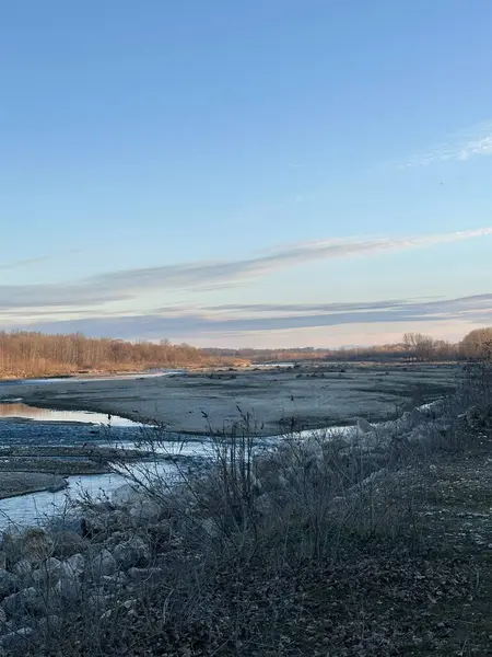 Geniş, çoğunlukla kuru bir nehir yatağı kışın seyrek bitki örtüsü ve yapraksız ağaçlarla dolu bir arazide esiyor. Açık mavi gökyüzü ve yumuşak sabah ışığı bu doğal manzaraya huzur katar.