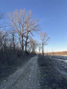 Sakin bir kış nehrinin yanındaki yapraksız bir ormanda çakıllı bir yol esiyor. Uzun ağaçlar, parlak mavi gökyüzünün altında, alçak güneş ışığında parlıyor, yalnızlığı ve mevsimsel durgunluğu çağrıştırıyor.