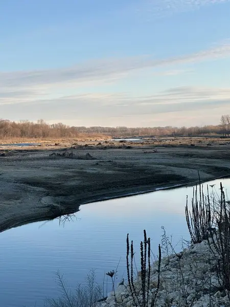 Sakin bir dere, solgun bir kış gökyüzünün altındaki soğuk bir arazide esiyor. Suyun ve kuru bitkilerin yansımaları sakin bir mevsimsel atmosfer yaratır.