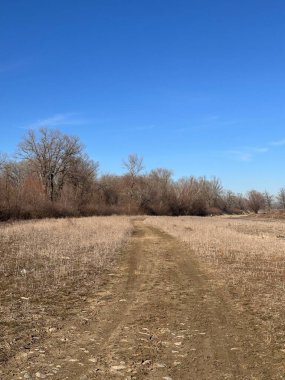 Uçsuz bucaksız mavi gökyüzünün altındaki yapraksız ağaçlara uzanan kuru otların arasından dar bir toprak yol esiyor. Sakin kış manzarası yalnızlığı ve doğal güzelliği yansıtıyor.