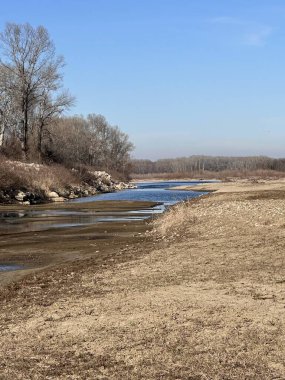Güneşli bir kış gününde çekilen kuruyup kurumuş nehir yatağı ve çıplak ağaçlarla dolu sakin bir manzara. İklim değişikliği, kuraklık ve doğal durgunluğun sembolü.