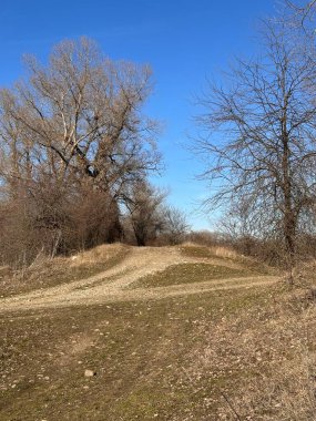 Kıvrımlı bir toprak yol, canlı mavi bir gökyüzünün altında çıplak ağaçlar ve otlardan oluşan kuru bir araziyi kesiyor.